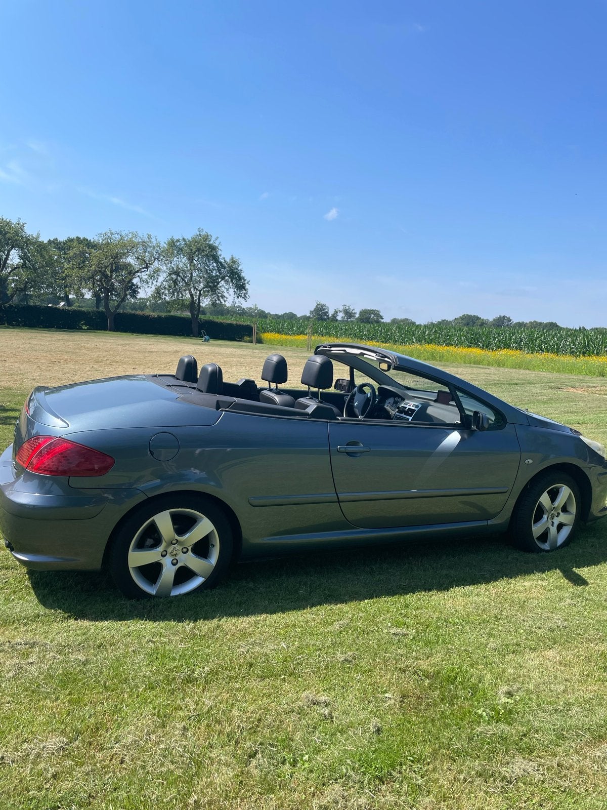 Peugeot 307 2.0 16V CC 2008 Grijs, Auto's, Peugeot, Voorwielaandrijving, 4 cilinders, Cabriolet, 4 stoelen