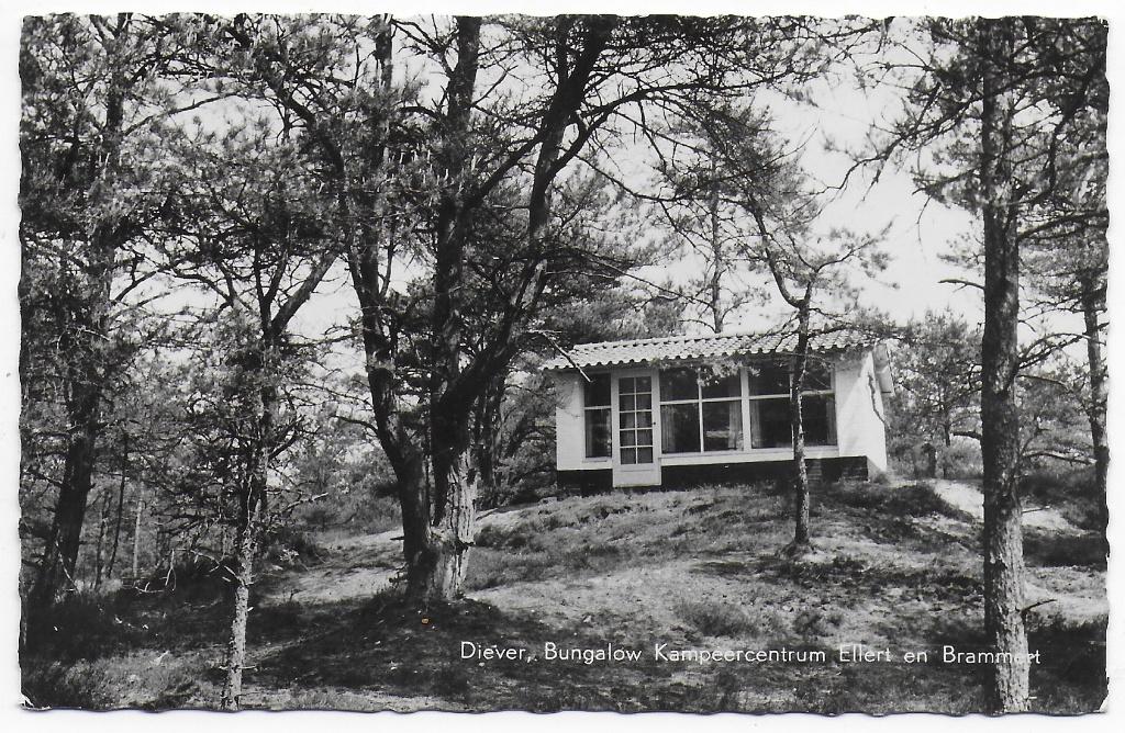 Diever Kampeercentrum Ellert en Brammert Ansichtkaart (B7585, Verzamelen, Verzenden, 1960 tot 1980, Gelopen, Noord-Brabant
