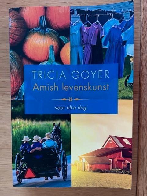 Amish levenskunst, Ophalen of Verzenden, Zo goed als nieuw