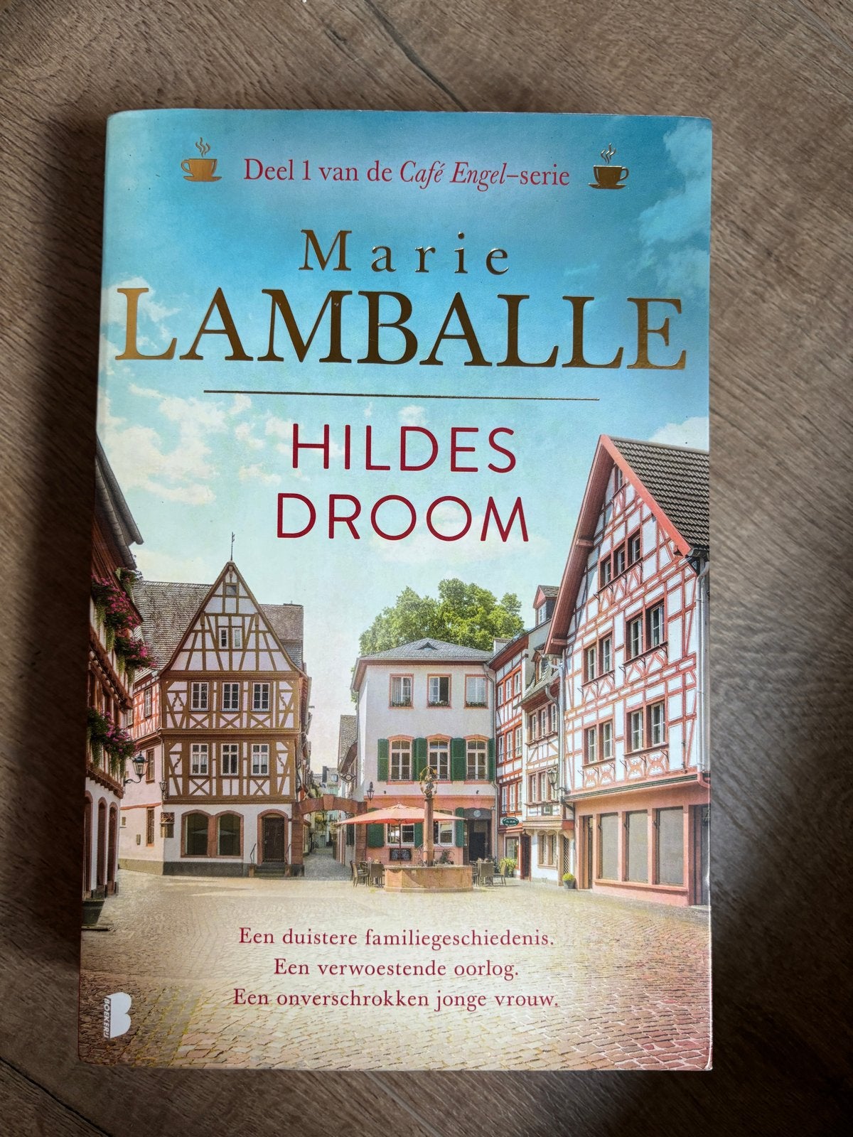 Hildes Droom - Marie Lamballe (Deel 1 Café Engel-serie), Ophalen of Verzenden, Gelezen, Europa overig