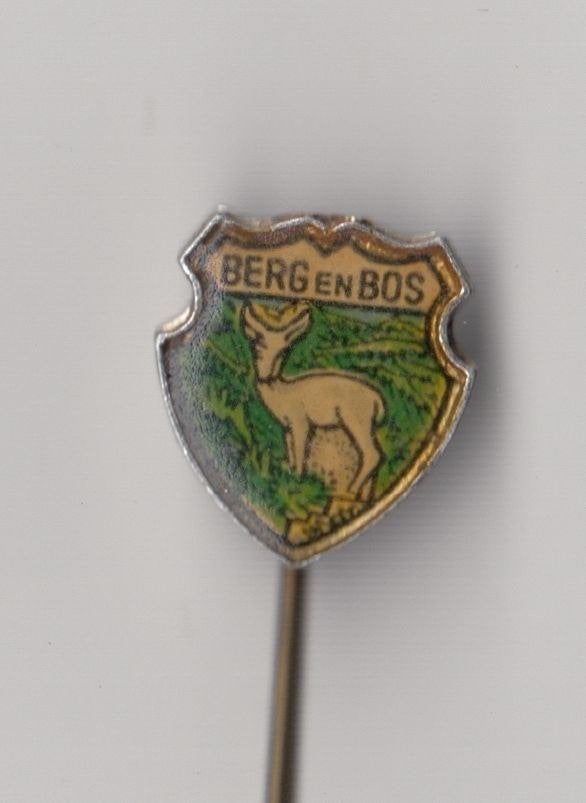 Apeldoorn Berg en Bos speldje, Verzamelen, Speldjes, Pins en Buttons, Gebruikt, Niet vindbaar, Niet vindbaar, Speldje of Pin