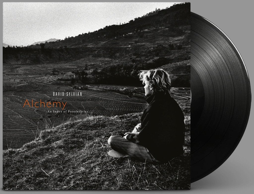 Vinyl LP David Sylvian Alchemy An Index Of Possibilities NEW, LP, Pop, Limited edition, Ophalen of Verzenden