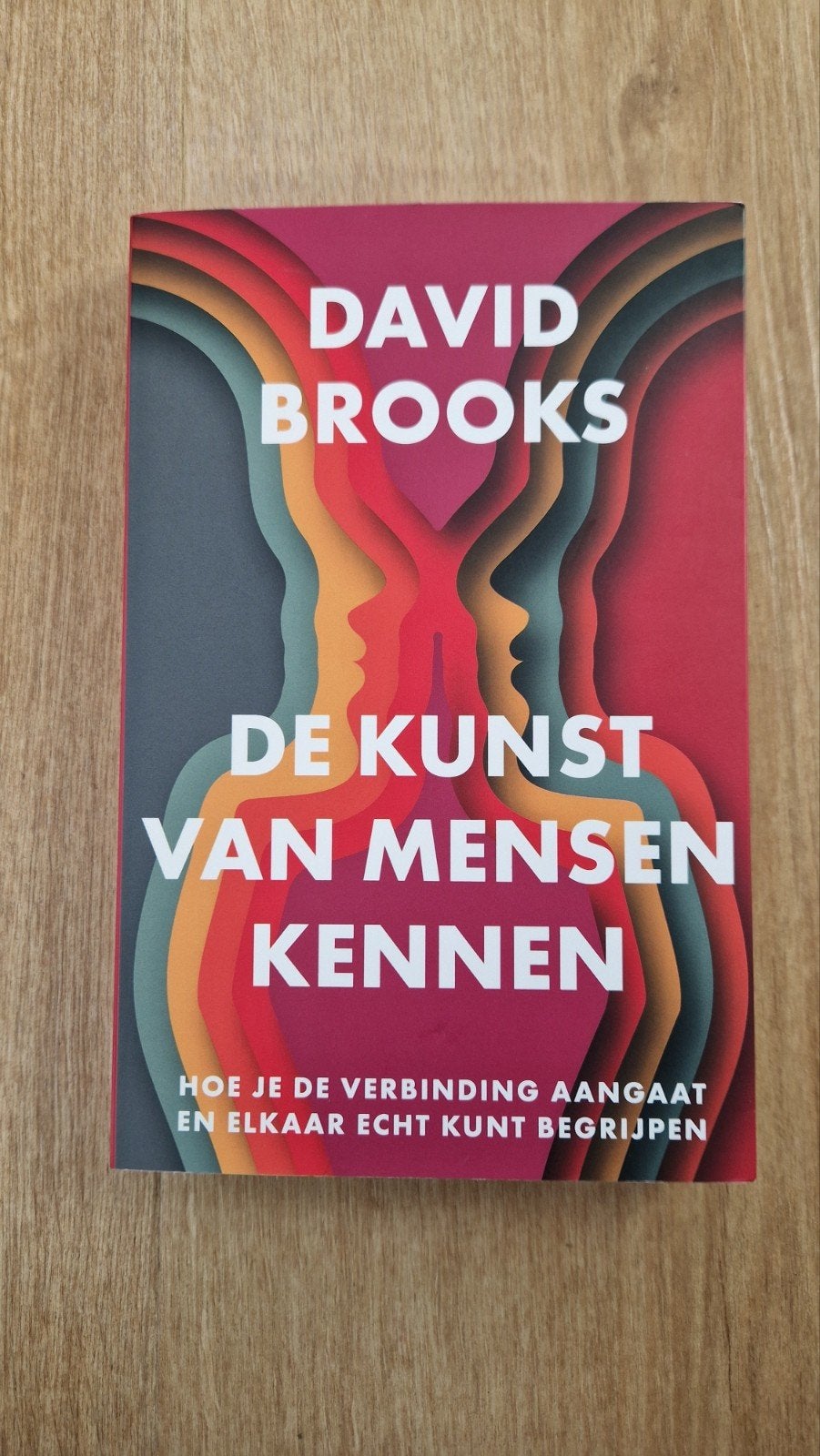 David Brooks - De kunst van mensen kennen, Ophalen of Verzenden, Zo goed als nieuw, David Brooks