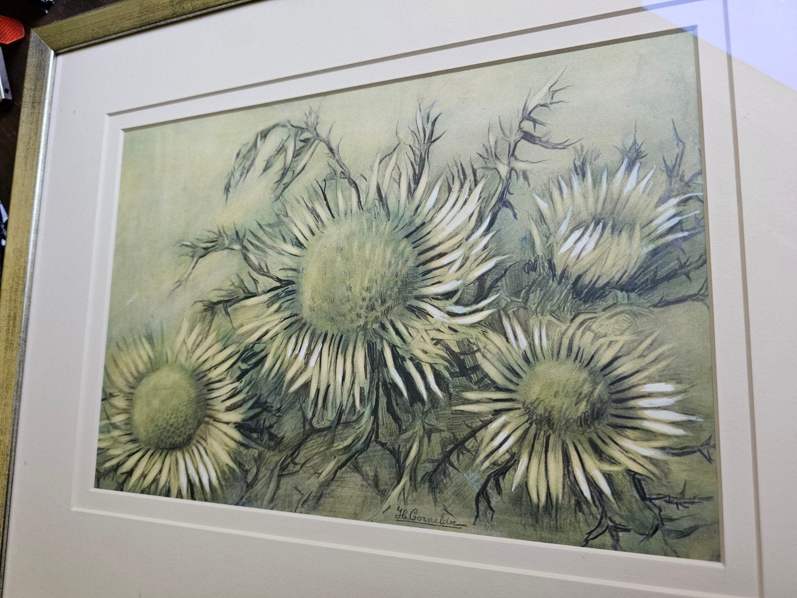 Prachtige Botanische Studie ‘Zilverdistels’  Henk Cornelder, Bloemen, Ingelijst, Ophalen of Verzenden, Klassiek