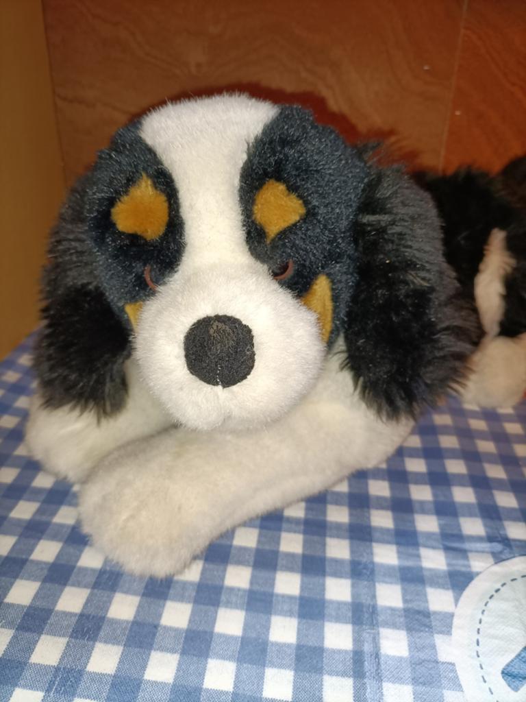Berner Sennen knuffel hond Evora 47 cm groot, Ophalen of Verzenden, Zo goed als nieuw