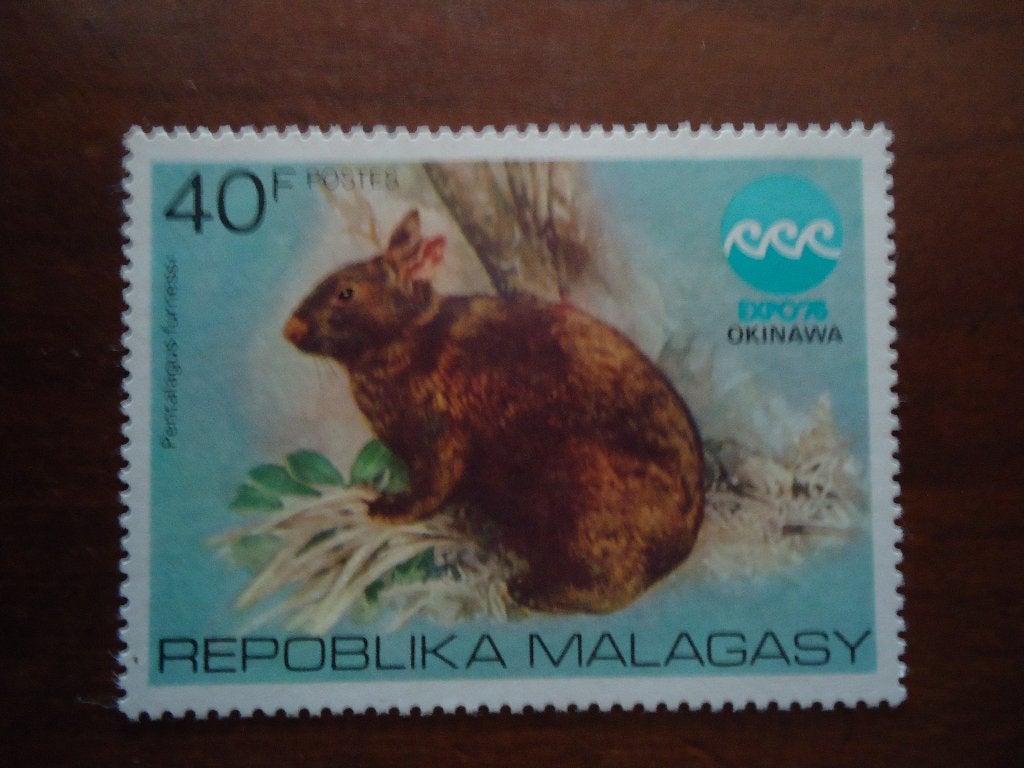 Dier konijn Madagaskar 1975, mi. 758 postfris, Ophalen of Verzenden, Postfris, Dier of Natuur