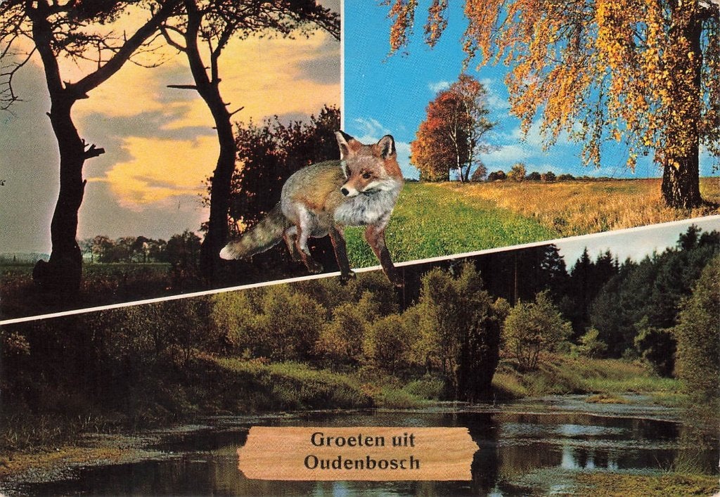 Groeten uit Oudenbosch, Ophalen of Verzenden, 1960 tot 1980, Gelopen, Noord-Brabant
