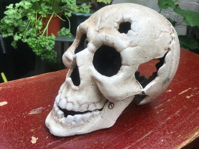 grote SKULL/SCHEDEL, metaal, Ophalen of Verzenden