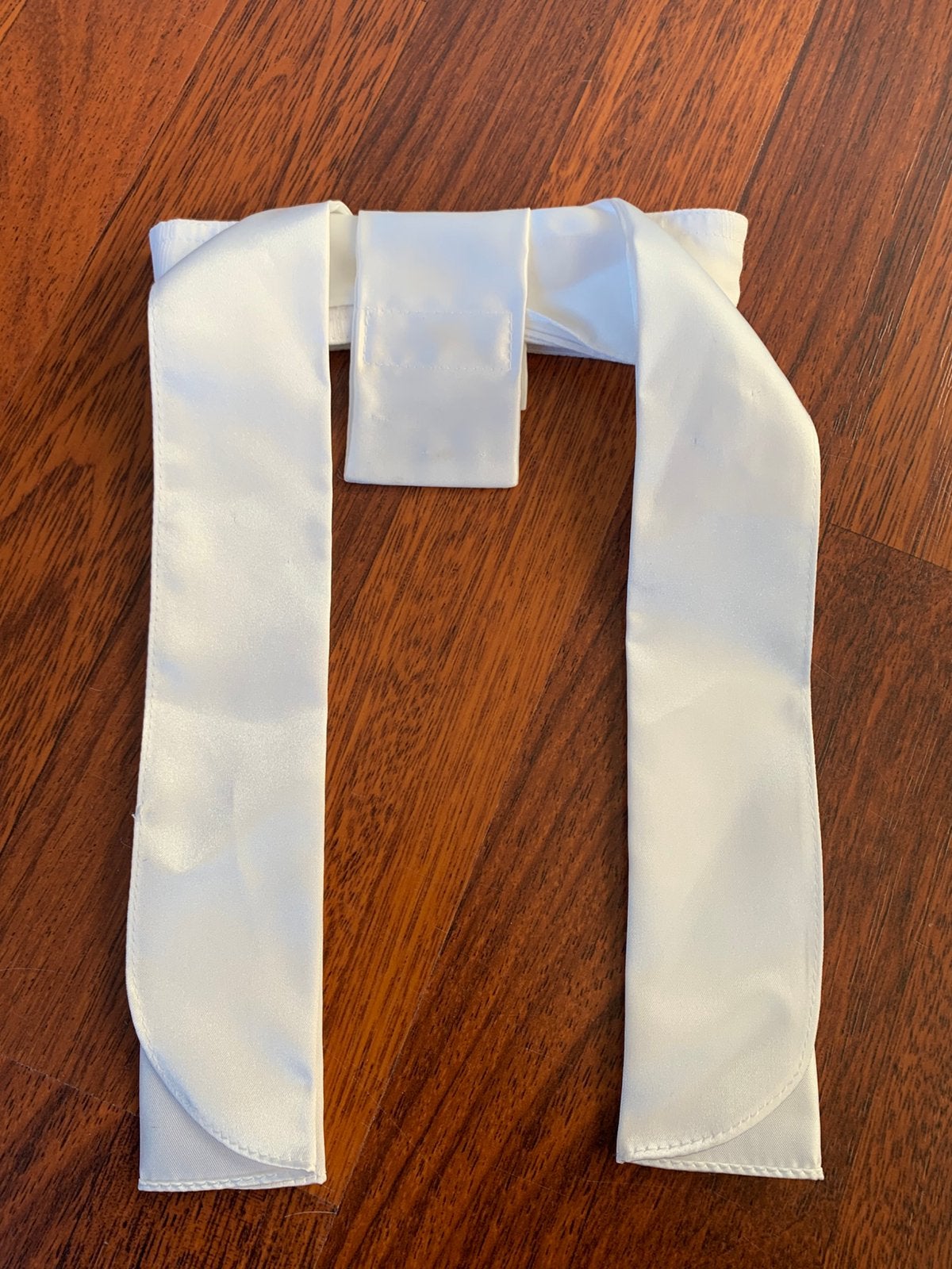 Plastron satijnachtige - en streepstof, Dieren en Toebehoren, Ophalen of Verzenden, Zo goed als nieuw, Dressuur, Bovenkleding