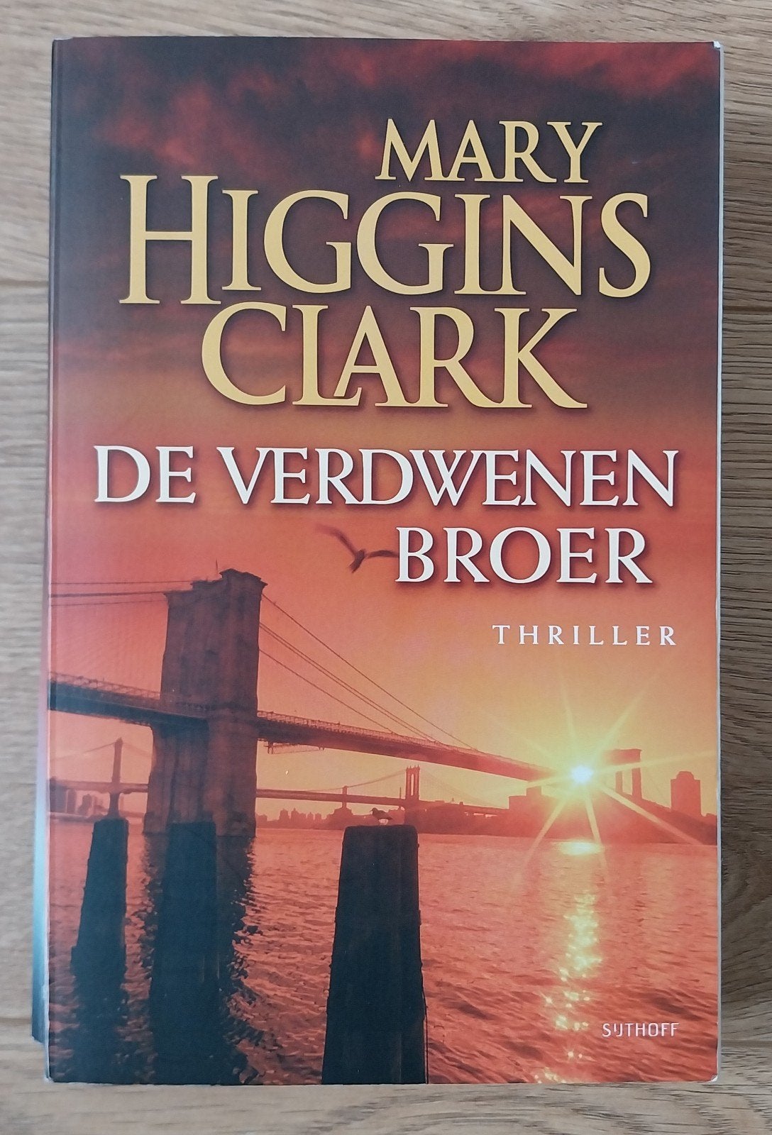 Mary Higgins Clark, De verdwenen broer, Ophalen of Verzenden, Gelezen