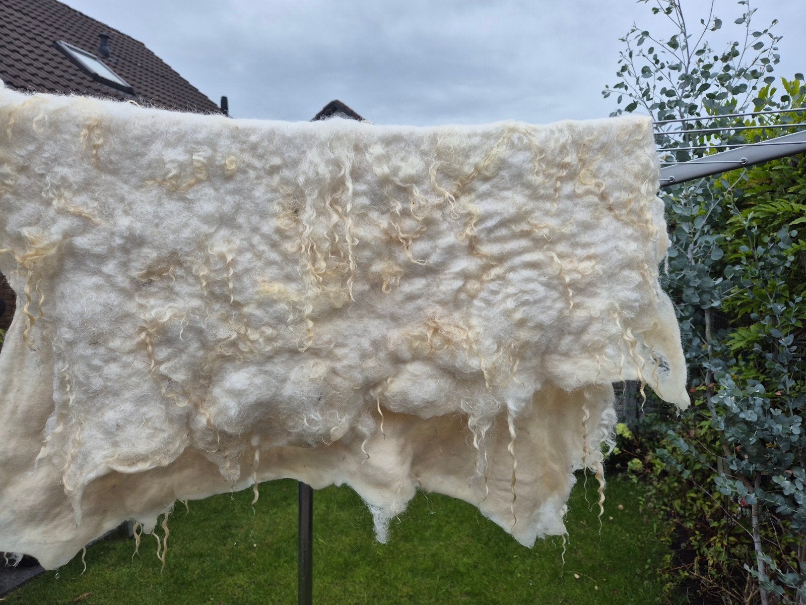 Handgevilt kleed met krulletjes Walliser Schwarznase schaap, Ophalen, Landelijk, Natuurlijk, Handgemaakt, 50 tot 100 cm, Nieuw
