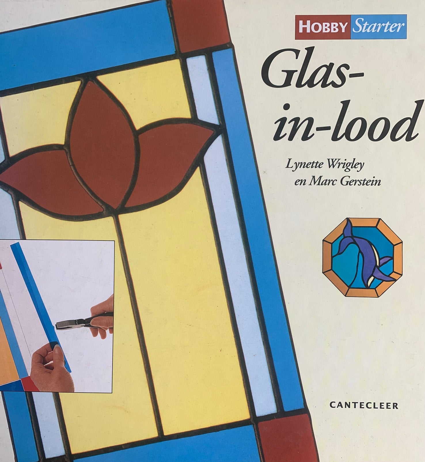 Boek: glas in lood -starter, Ophalen, Zo goed als nieuw, Overige onderwerpen
