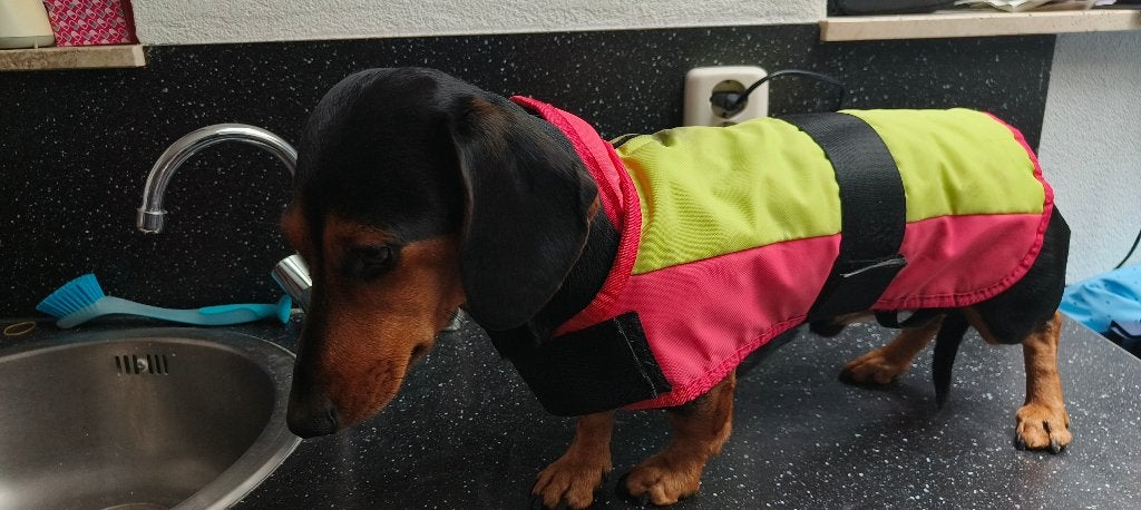 jas voor hond, Dieren en Toebehoren, Ophalen, Gebruikt, Overige merken, S