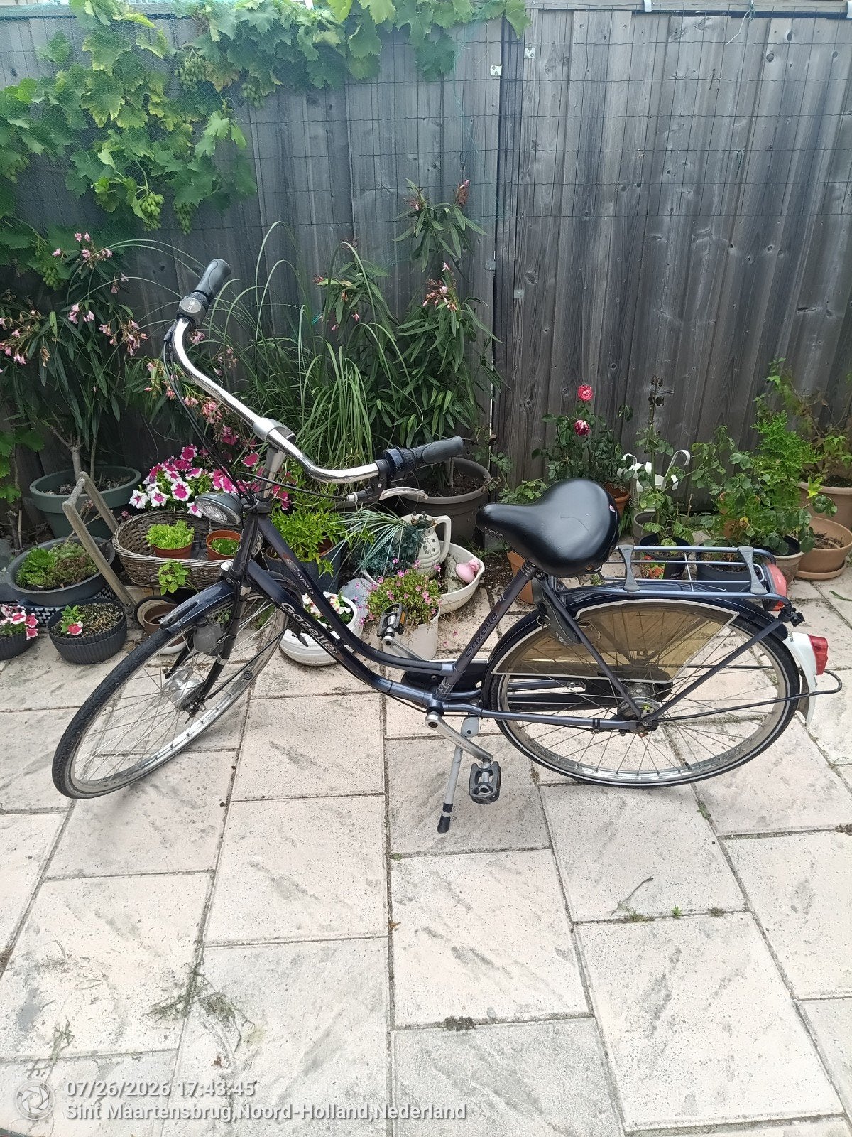 Gazelle damesfiets met lage instap, Ophalen, Versnellingen, Gazelle, Trommelrem