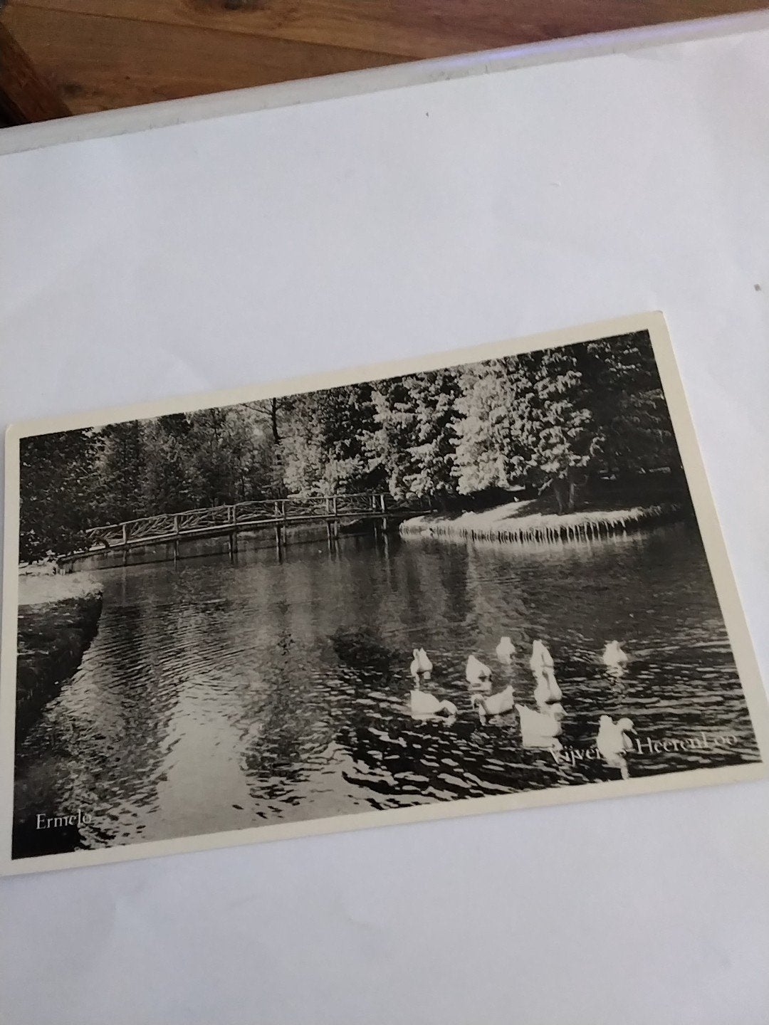 Oude ansichtkaart Ermelo, Vijver Heerenloo, Ophalen of Verzenden, Voor 1920, Ongelopen, Gelderland