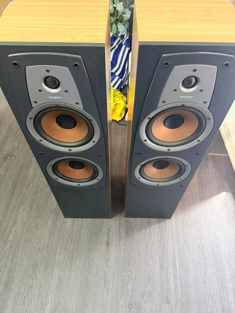 2x Tangent Millennium Front (type 83073), Gebruikt, 120 watt of meer, Front, Rear of Stereo speakers, Ophalen