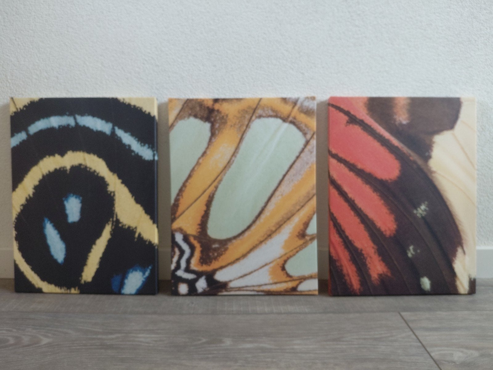drieluik van vlindervleugels te koop, Ophalen, Klassiek, Dieren, Doek