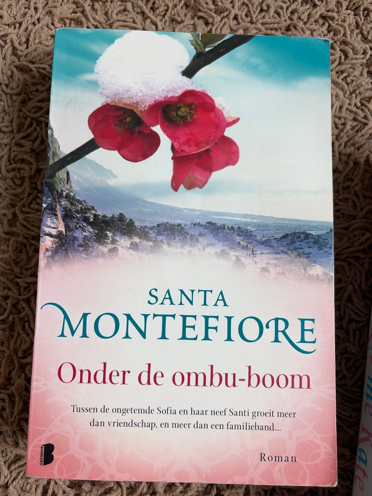 Santa Montefiore - Onder de ombu-boom (Roman), Ophalen of Verzenden, Gelezen, Nederland
