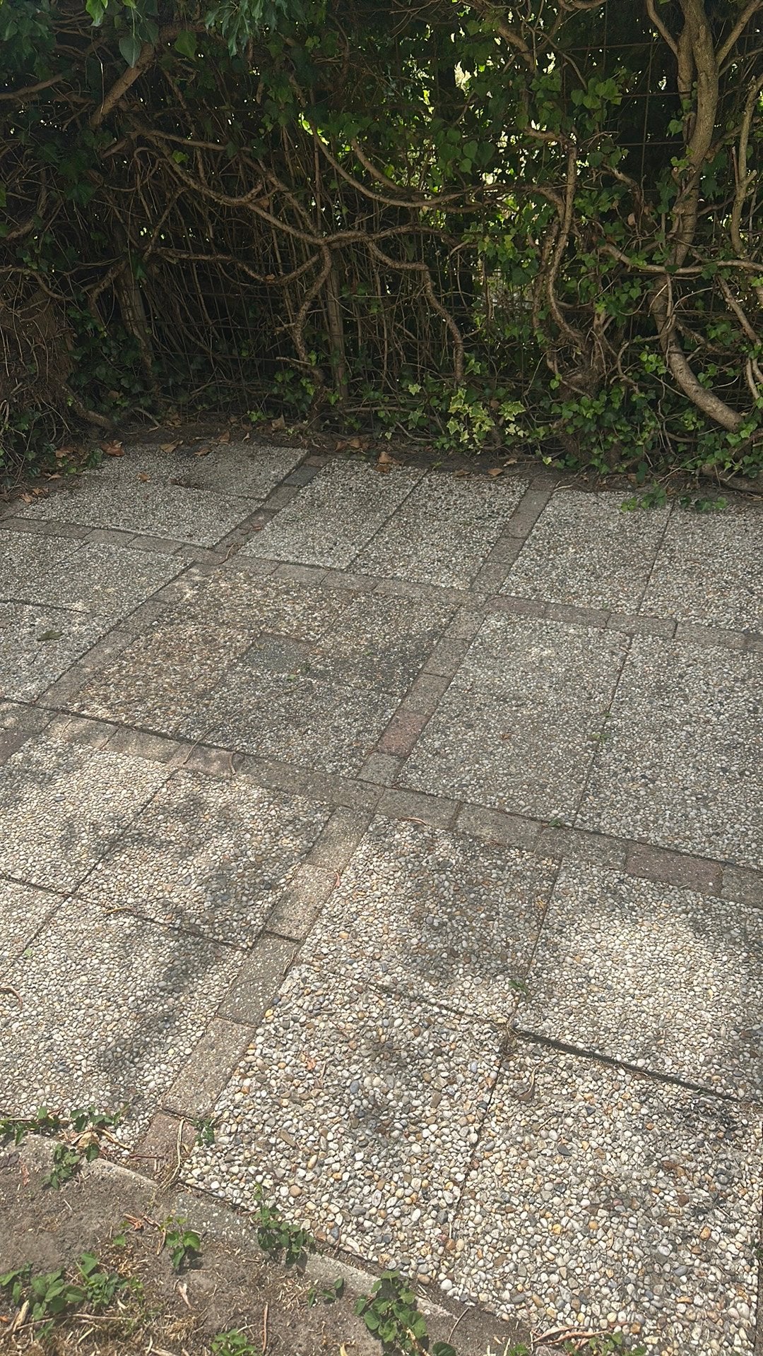 Terrastegels, Tuin en Terras, Ophalen, Gebruikt, Beton, Terrastegels