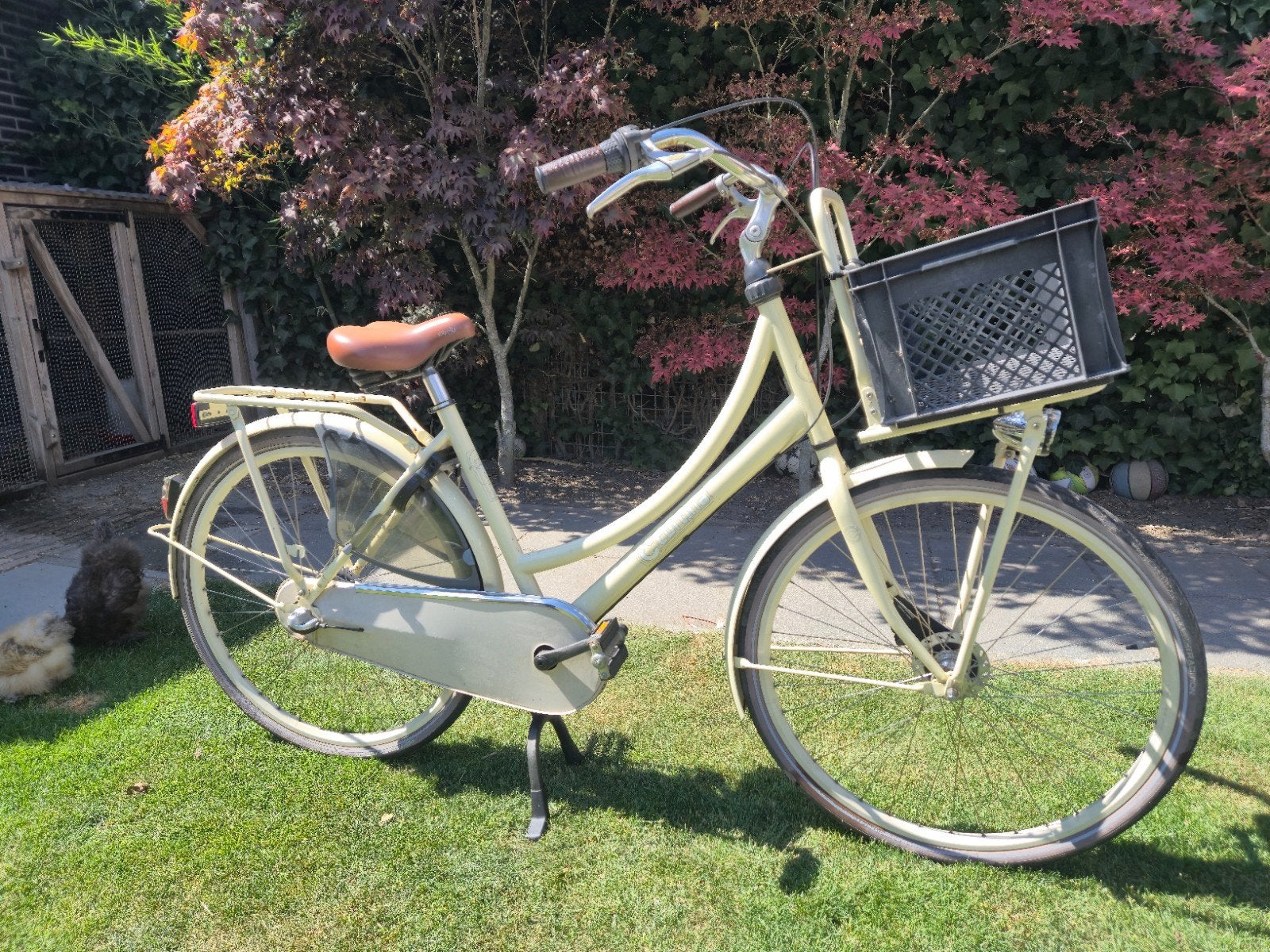 Cortina fiets met voordrager en mand 20 inch, 50 tot 53 cm, Trommelrem, Ophalen, Overige merken