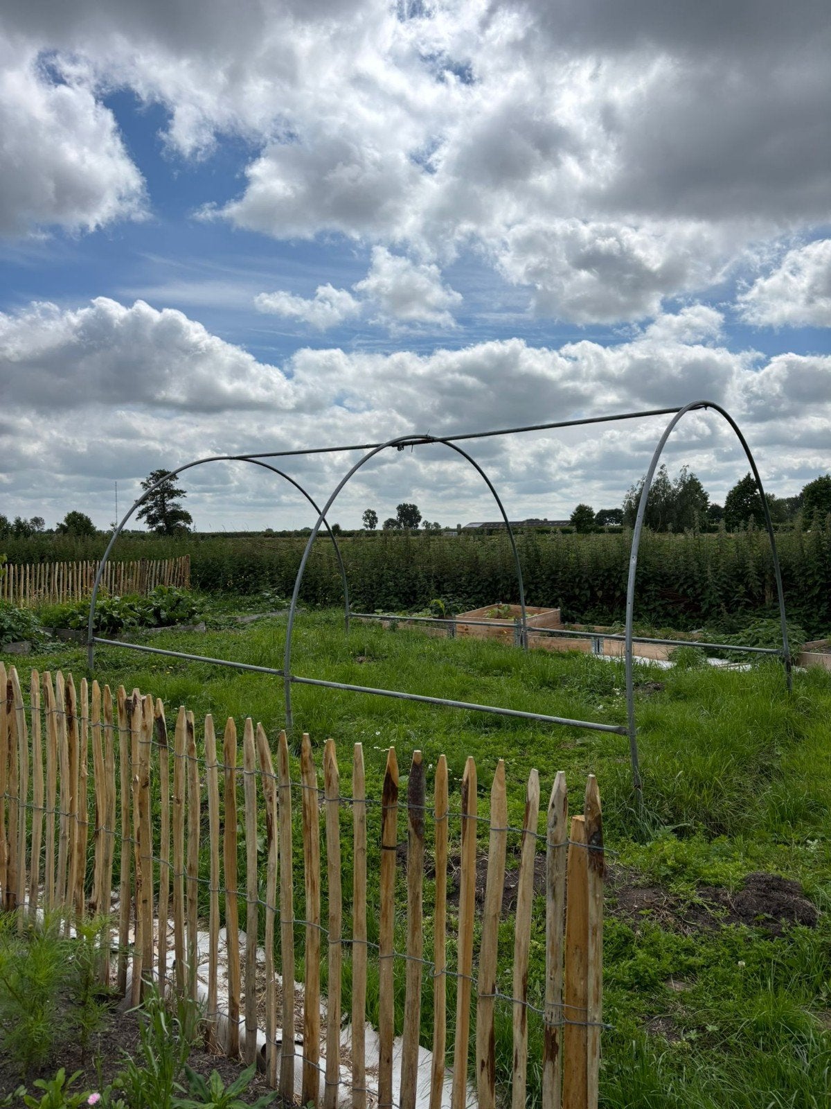 Robuust tunnelkas frame voor moestuin, Staal, Gebruikt, Folie, Kweekkas