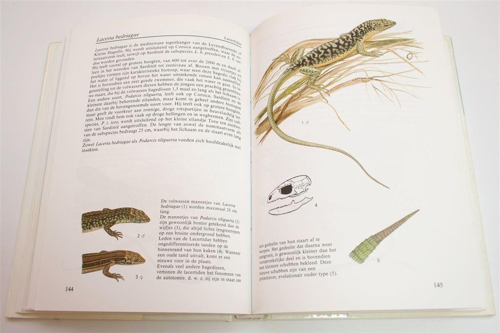 Amfibieën & Reptielen — Kleurengids met 100+ Soorten, Ophalen of Verzenden, Gelezen, Vogels