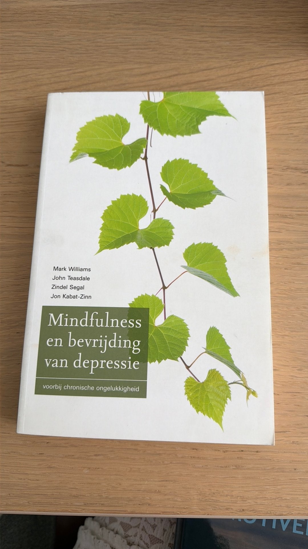 Mark Williams - Mindfulness en bevrijding van depressie, Boeken, Ophalen of Verzenden, Zo goed als nieuw, Mark Williams