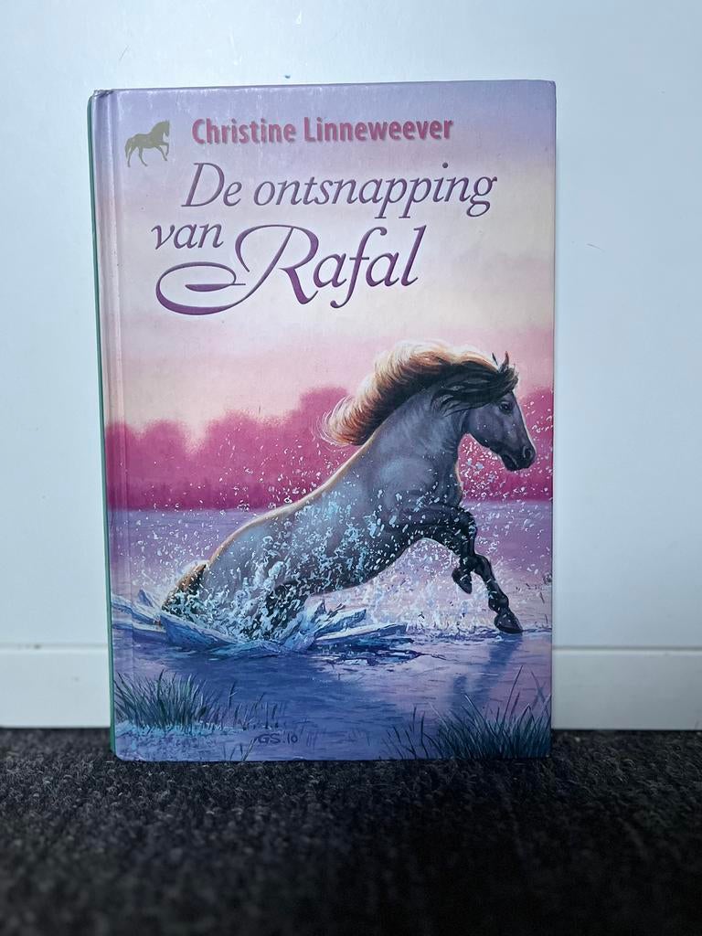 Leesboek, De ontsnapping van Rafal, Boeken, Verzenden, Zo goed als nieuw