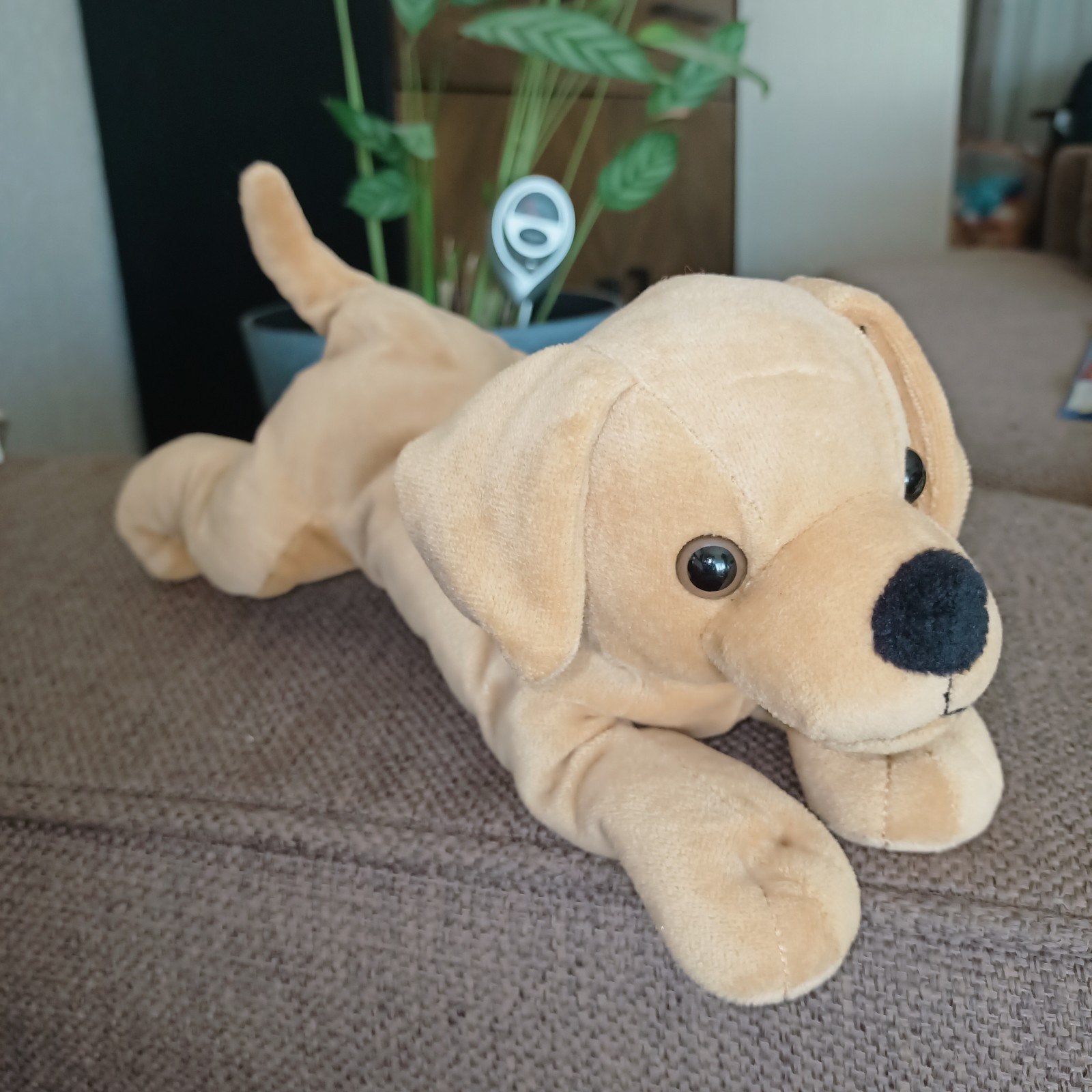 Nicotoy, labrador, golden retriever bruine hond., Zo goed als nieuw, Wasbaar, Middelgroot (20 tot 80 cm), Nicotoy