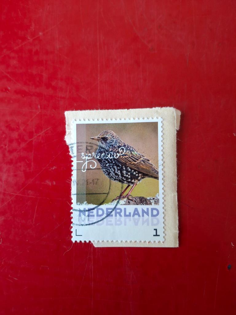 Nederlandse postzegel Spreeuw, gestempeld, Ophalen of Verzenden, Na 1940, Gestempeld