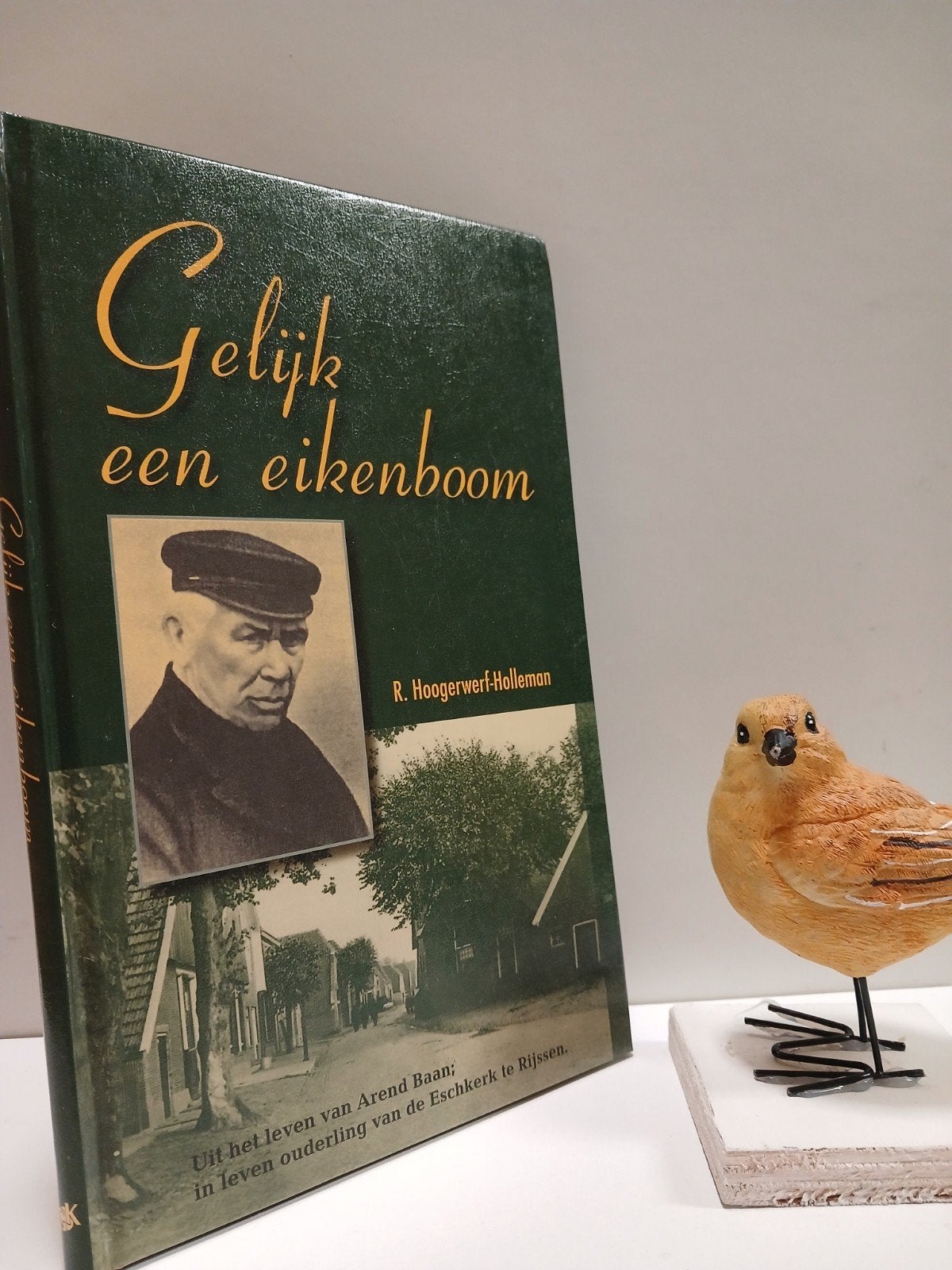 Hoogerwerf-Holleman, R.; Gelijk een eikenboom (Arend Baan), Ophalen of Verzenden, Gelezen, Christendom | Protestants