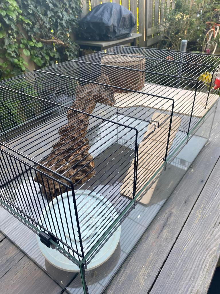 Hamsterscaping kooi, Kooi, Gebruikt, Hamster, 75 tot 110 cm