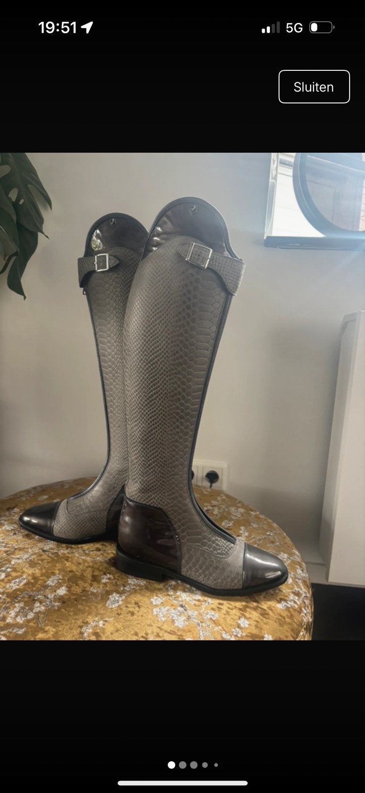 Lipica laarzen, Ophalen of Verzenden, Nieuw, Dressuur