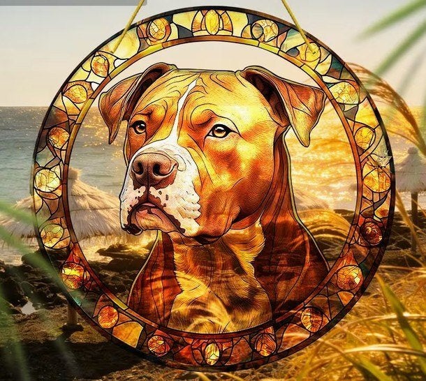 Raamhanger pitbull, Verzenden, Nieuw