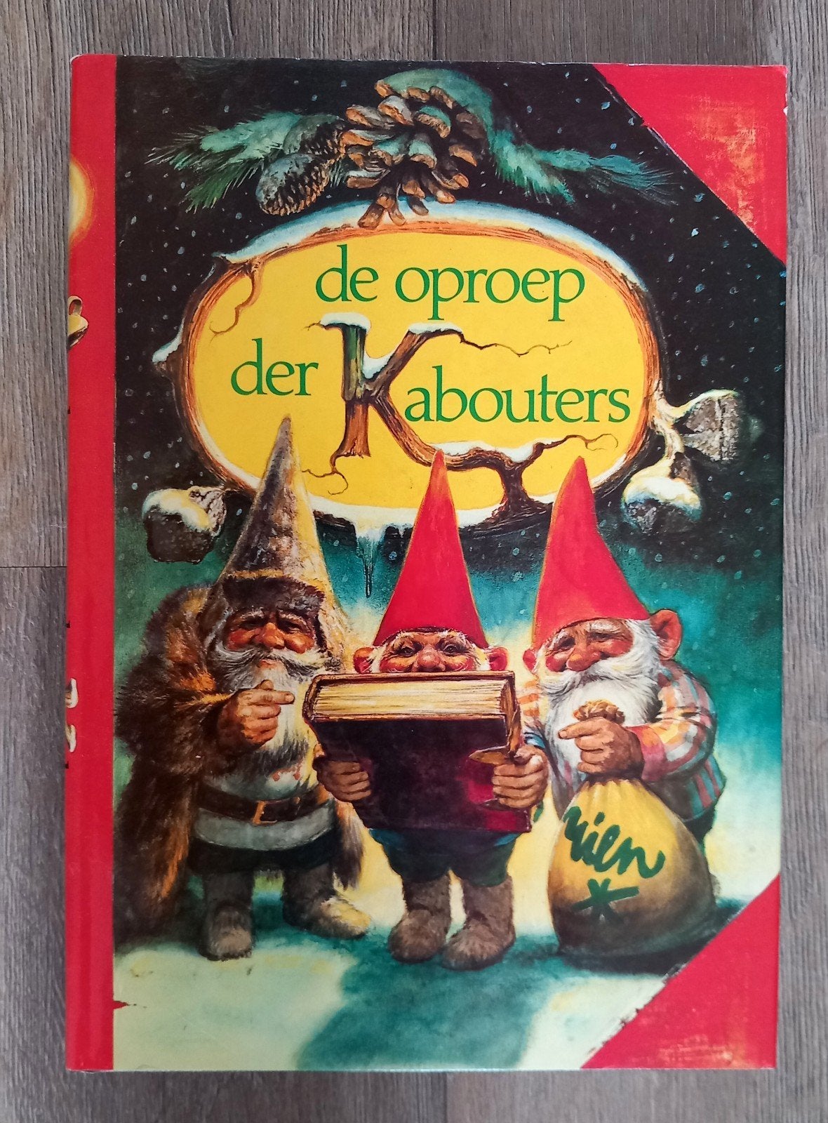 Rien Poortviet boek De oproep der Kabouters, Ophalen, Gelezen