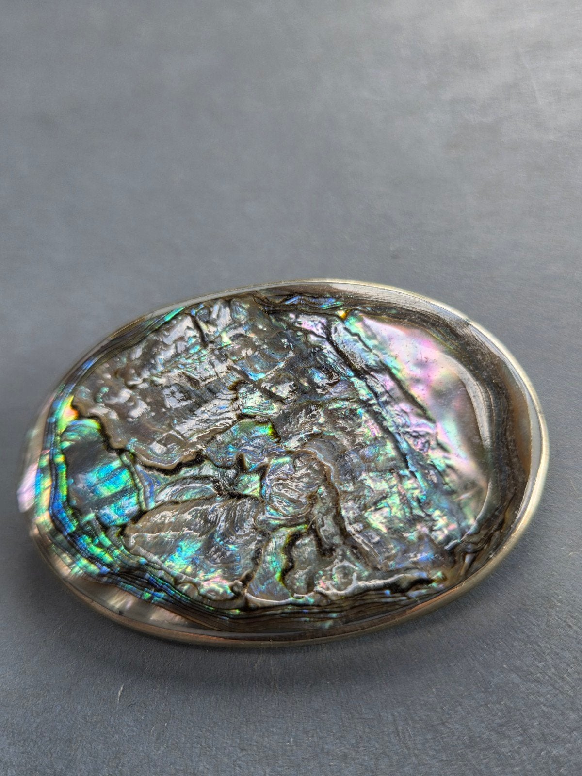 oude abalone mexico broche, Overige materialen, 4 tot 7 cm, Verzenden, Zo goed als nieuw