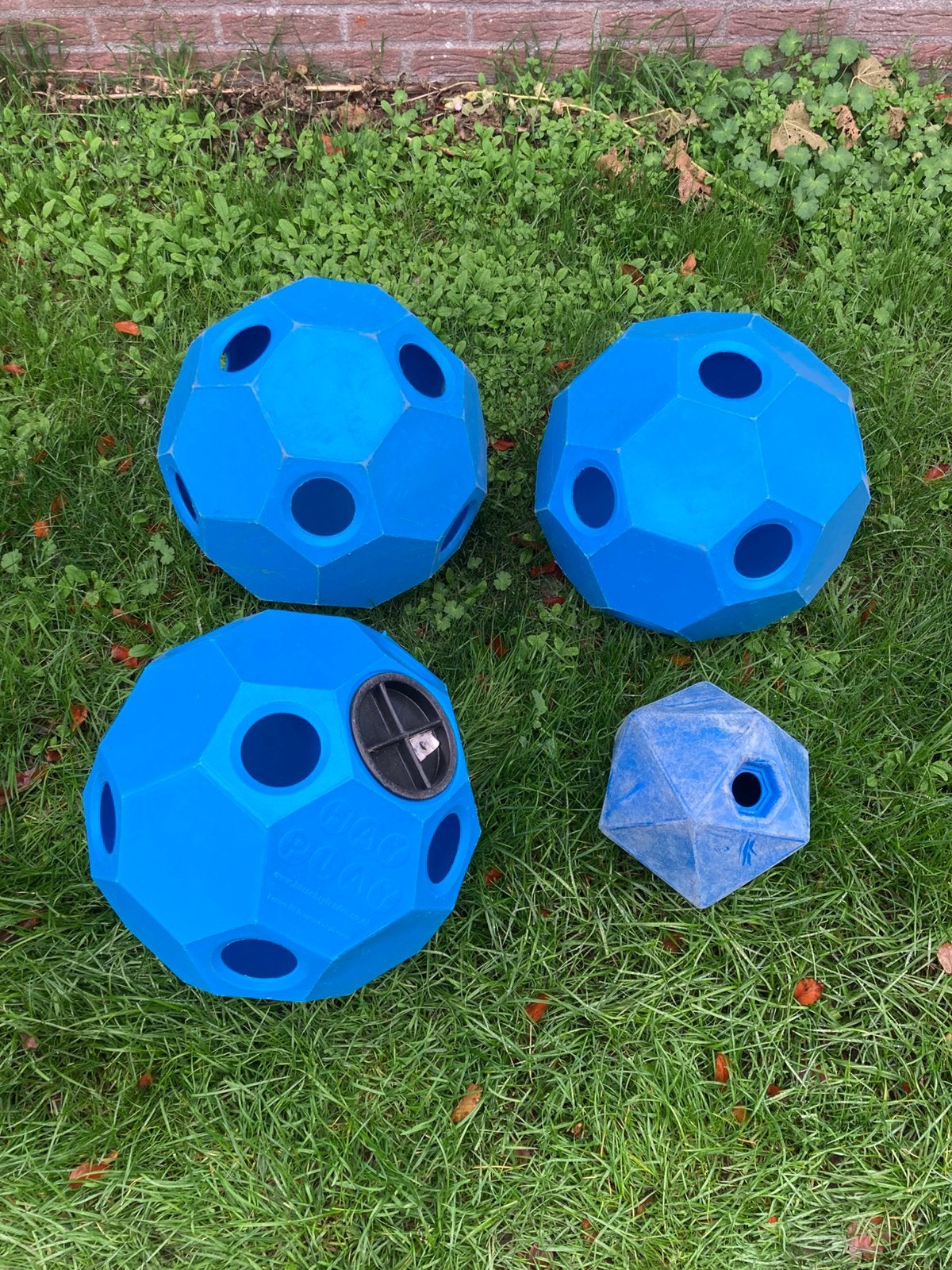 Hayplay voerbal blauw, Dieren en Toebehoren, Ophalen, Gebruikt