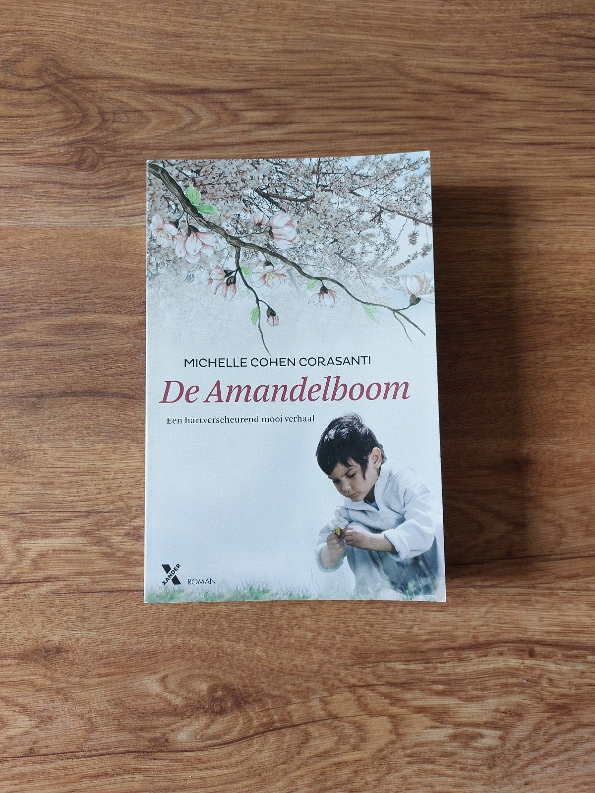 Roman • Michelle Cohen Corasanti - De amandelboom, Ophalen of Verzenden, Zo goed als nieuw, Michelle Cohen Corasanti
