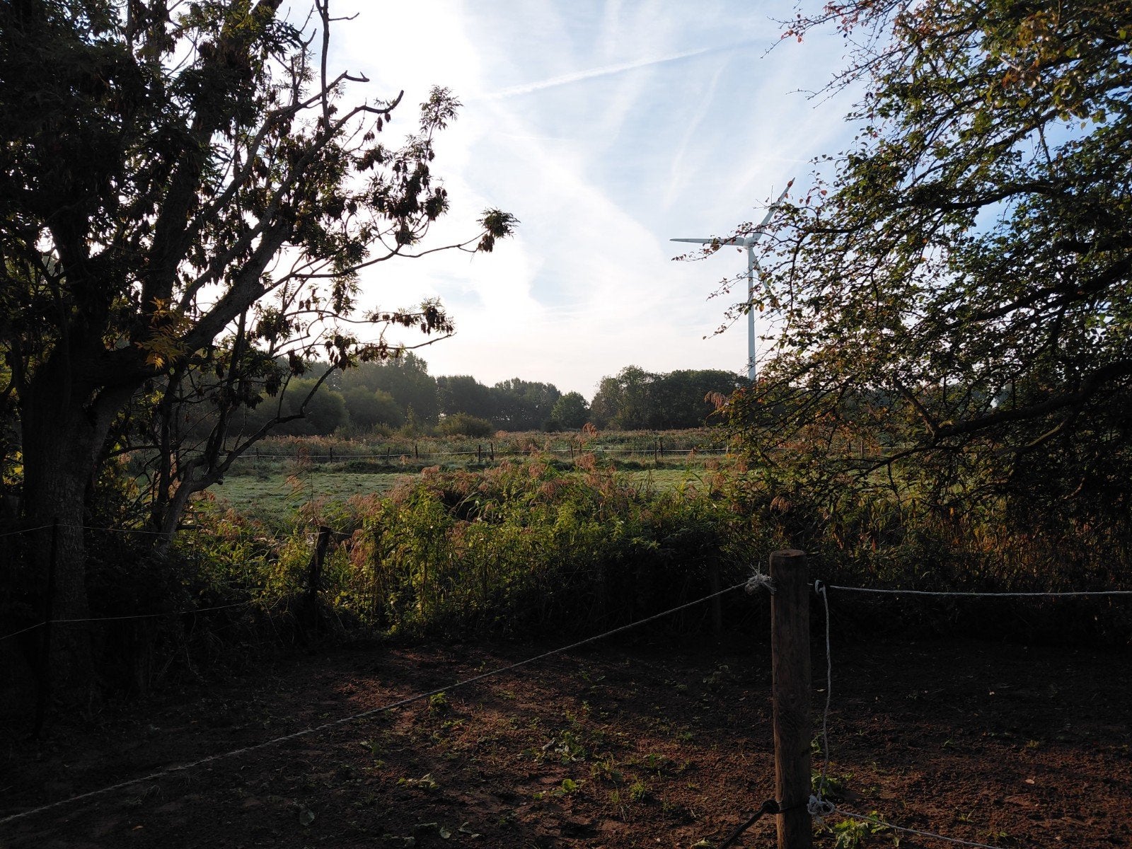 meerdere stallen vrij  Middenweg, 1191 LG Ouderkerk aan de, Stalling, 4 paarden of pony's of meer
