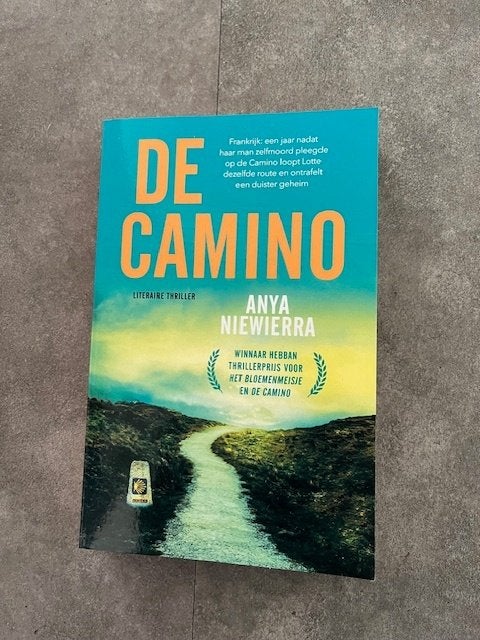 de Camino, Boeken, Ophalen of Verzenden, Zo goed als nieuw