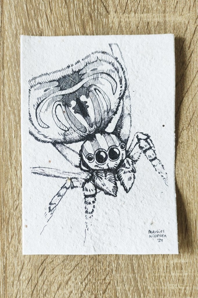 Kunstprent / ansichtkaart tekening spin op zaadjespapier, Ophalen of Verzenden, Print, Pentekening, Handgemaakt