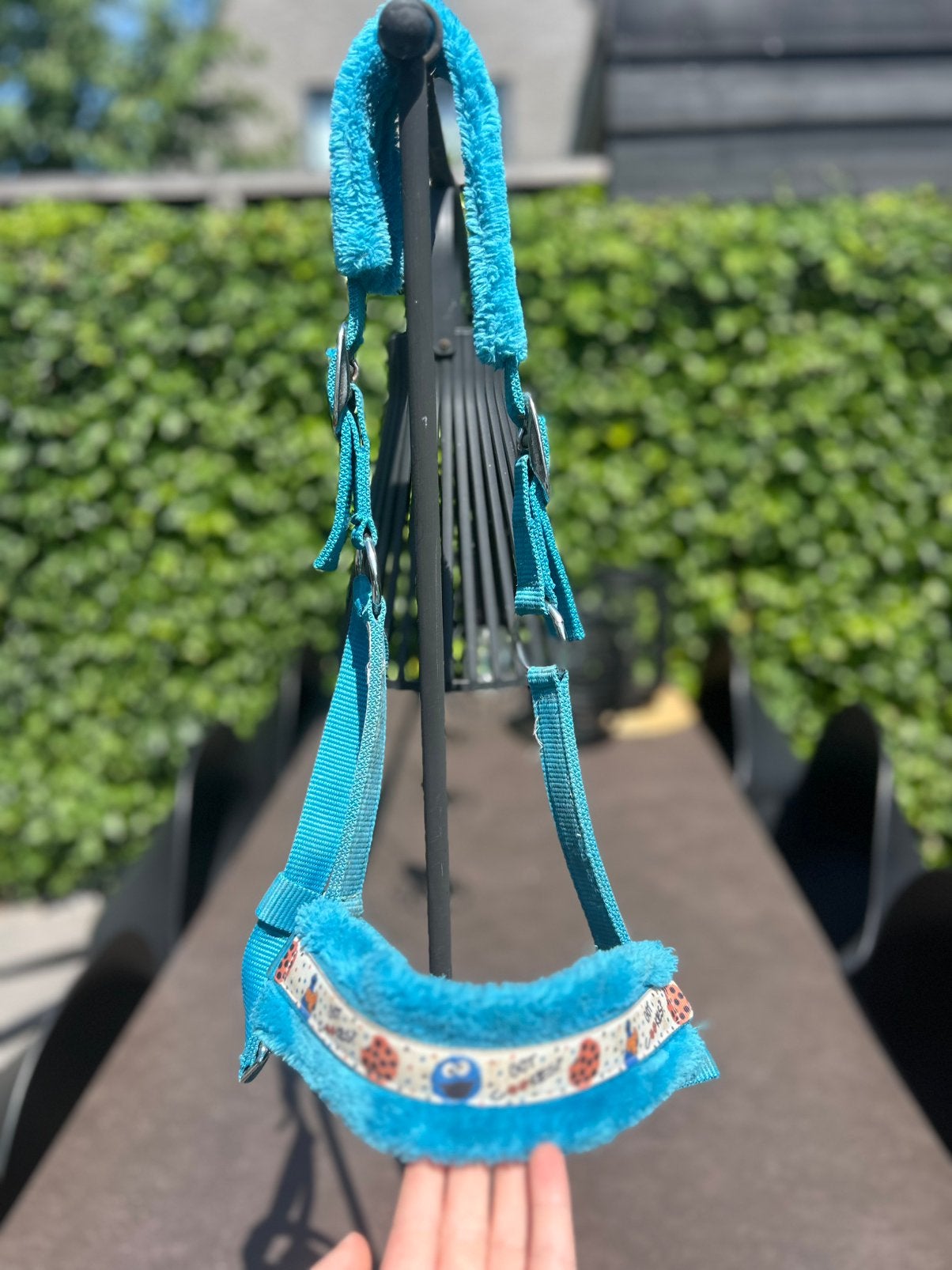 Halsters maat cob, Dieren en Toebehoren, Ophalen of Verzenden, Zo goed als nieuw, Blauw, Halster