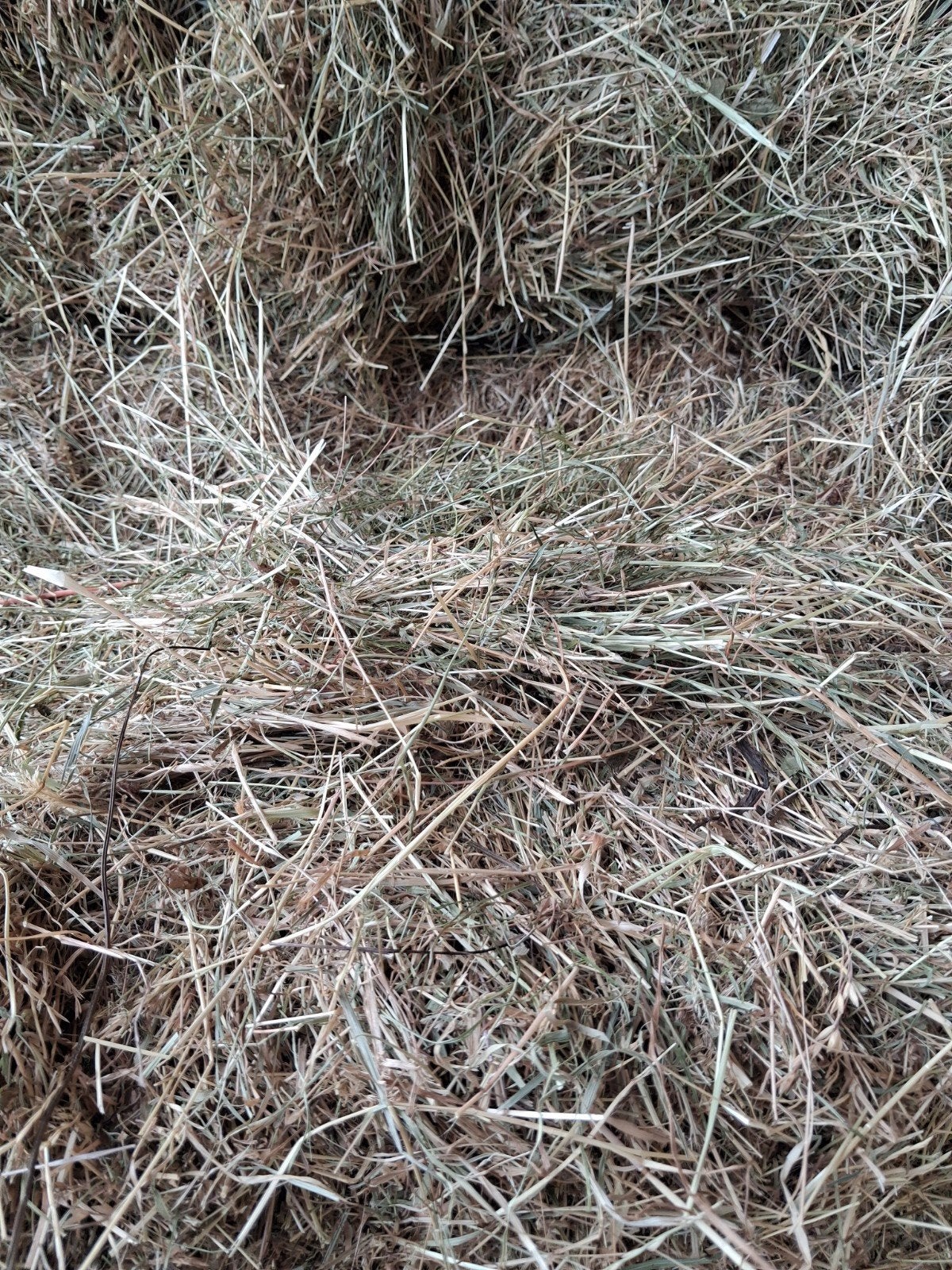 kleine pakjes hooi balen, Dieren en Toebehoren