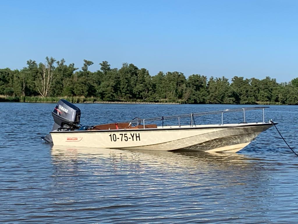 Boston Whaler 15 Super Sport met Yamaha 70 pk en trailer, Overige merken, Gebruikt, 70 pk, Elektrische start