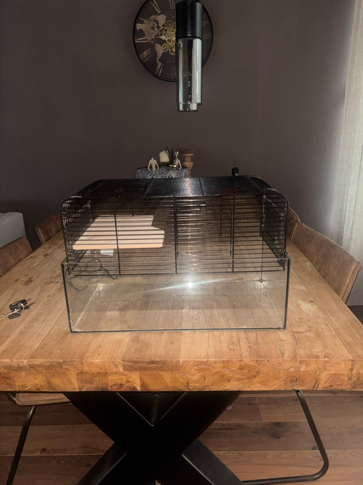 Hamster kooi, Ophalen, Zo goed als nieuw, Loopwiel of Rad
