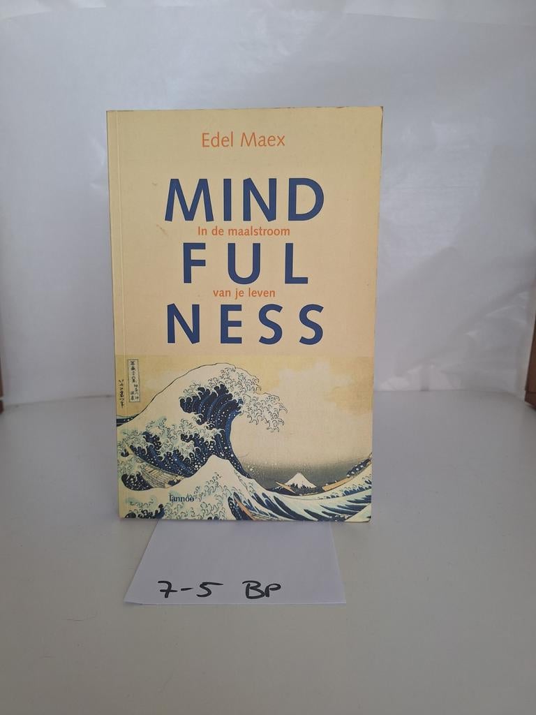 Mindfulness: In de maalstroom van je leven - Edel Maex, Boeken, Meditatie of Yoga, Zo goed als nieuw, Instructieboek, Edel Maex