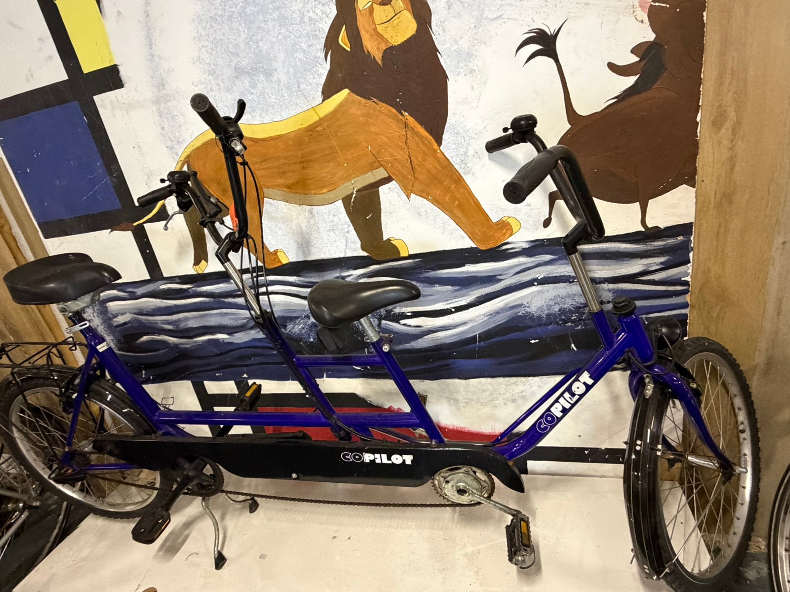 Tandems Copilot, Fietsen en Brommers, Fietsen | Tandems, Ophalen