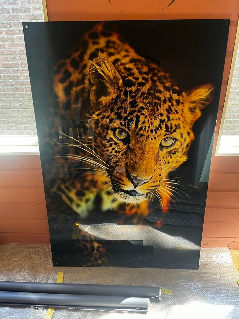 Plexiglas Panter Kunstwerk - 150x100 cm, Huis en Inrichting, Woonaccessoires | Schilderijen, Tekeningen en Foto's, Ophalen, 75 tot 100 cm