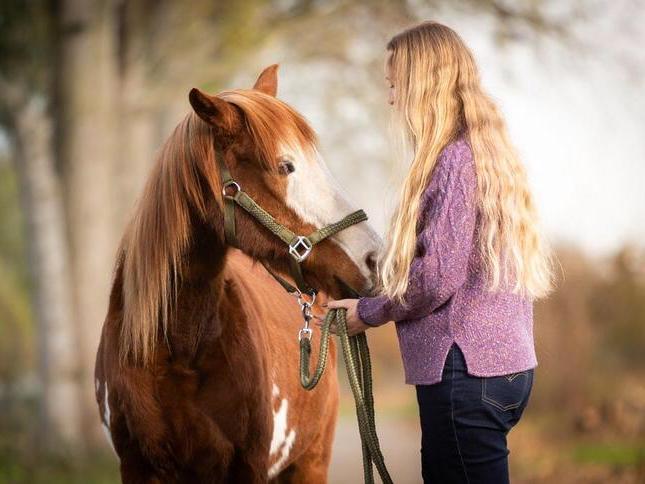 Paardencoaching in Liempde, Ophalen of Verzenden, Zo goed als nieuw