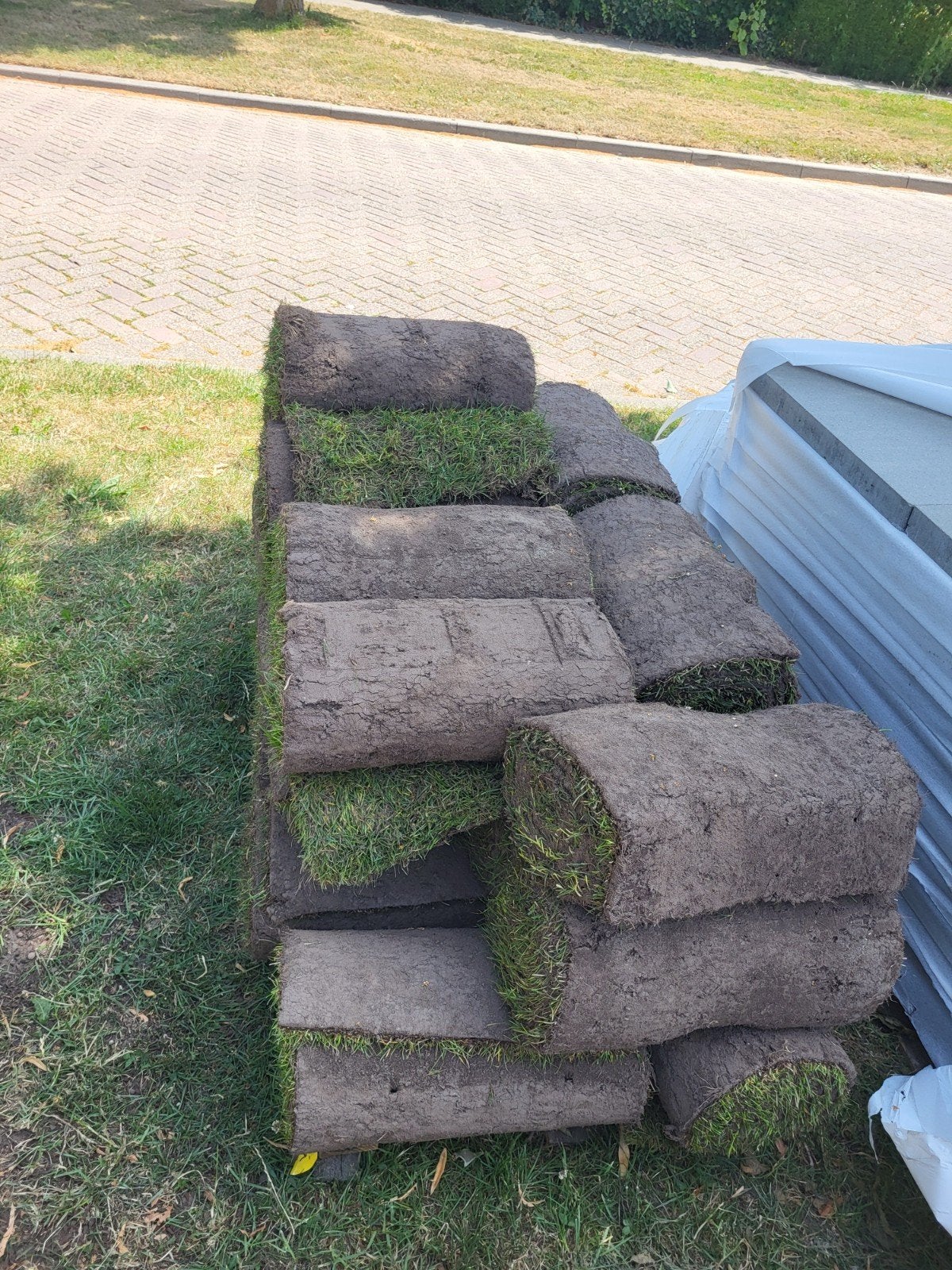 Verse graszoden, 23m² direct af te halen!, Ophalen, Nieuw, 20 m² of meer, Gras
